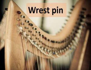 Wrest pin image
