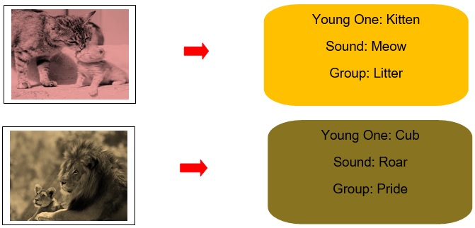 Class 1 Animals Their Babies Sounds Groups English Square