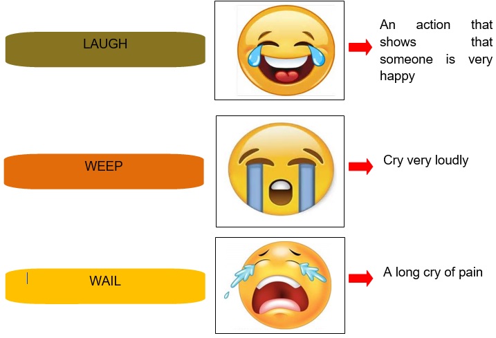 Class 1 Words Their Meanings And Opposites English Square