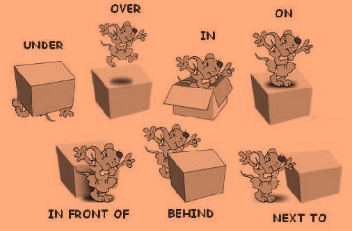 prepositions