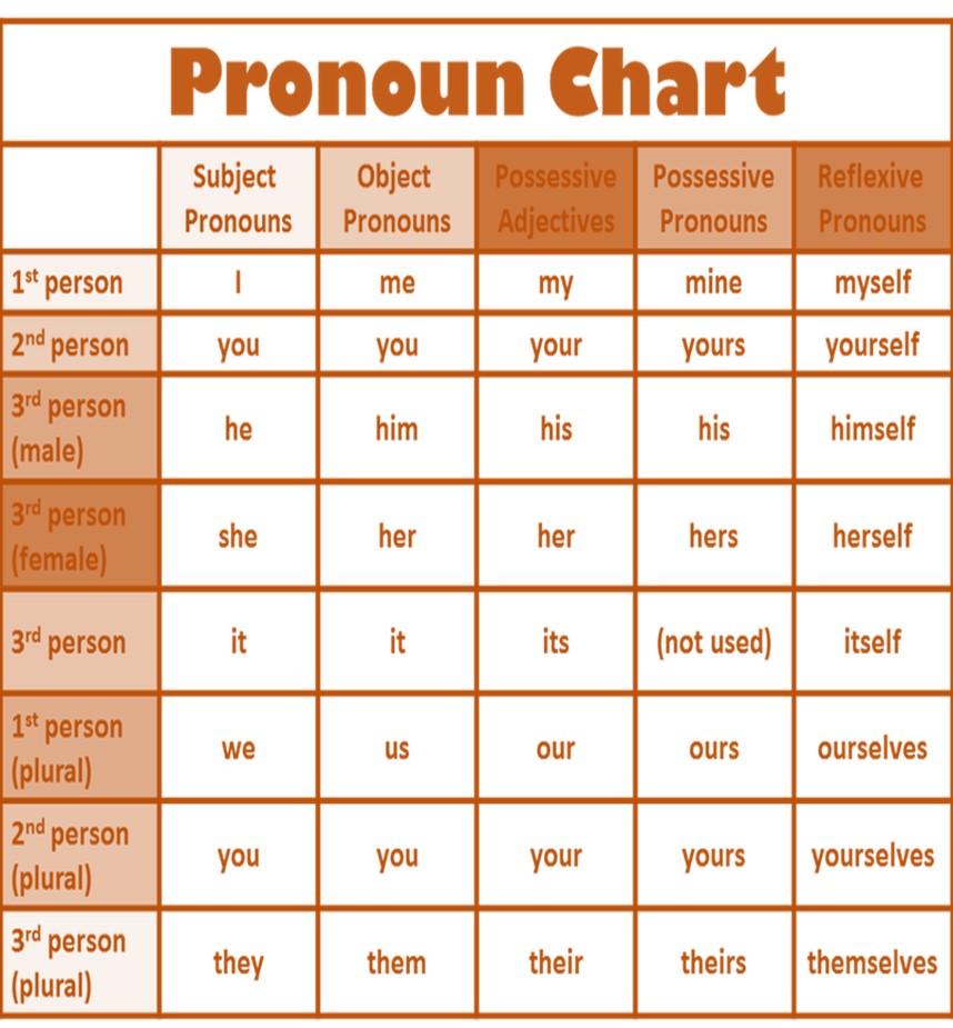 What Is A Noun And Pronoun With Examples - Free Worksheets Printable