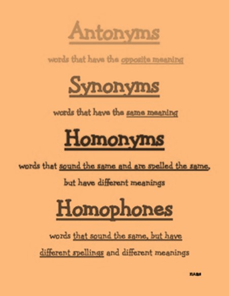 class-9-synonyms-antonyms-homonyms-words-related-to-social-cause