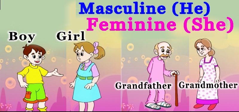 masculine and feminine for kids