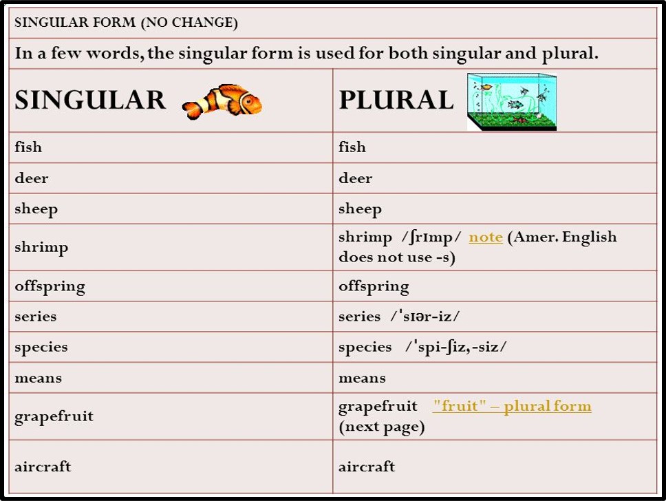 Singular And Plural Form Of Deer Kalimat Blog