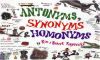 Antonyms and Synonyms image
