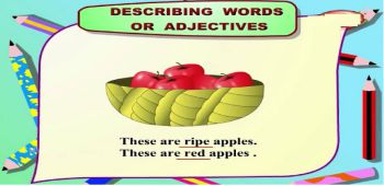Adjectives - The Describing Words!