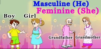 Making Words Feminine & Masculine