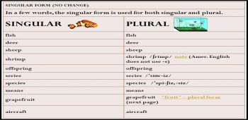 Singular Plural and One Word Substitution